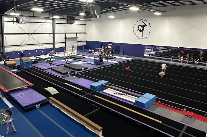 Georgia Spirit Gymnastics Academy Picture 7