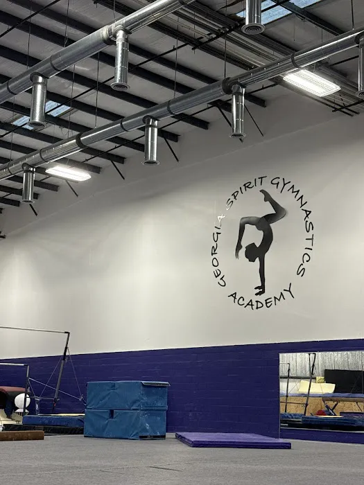 Georgia Spirit Gymnastics Academy Picture 8