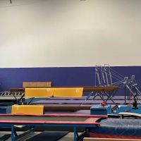 Georgia Spirit Gymnastics Academy ico