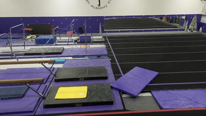 Georgia Spirit Gymnastics Academy Picture 6