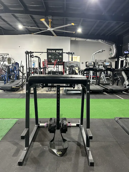 Dark Iron Society Picture 1