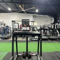 Dark Iron Society ico