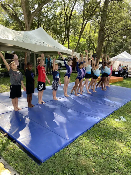 Cartersville Gymnastics Picture 4