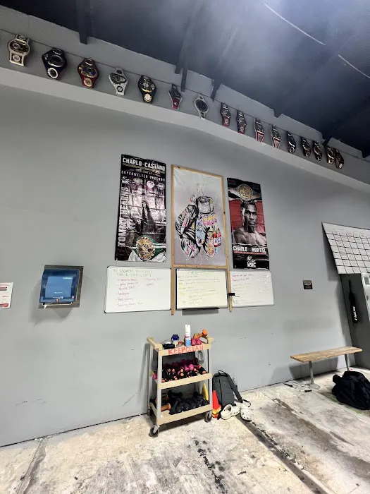 Pulso Fitness Picture 8