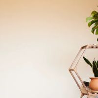 The Intown Retreat ico