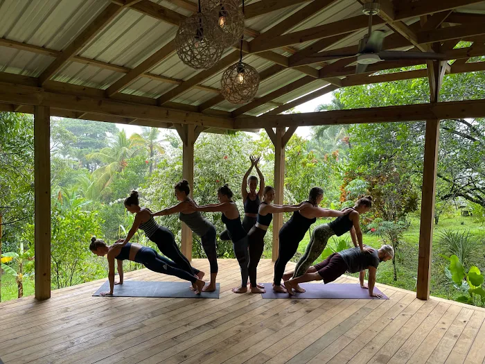 Swadhyaya Yoga School Picture 6