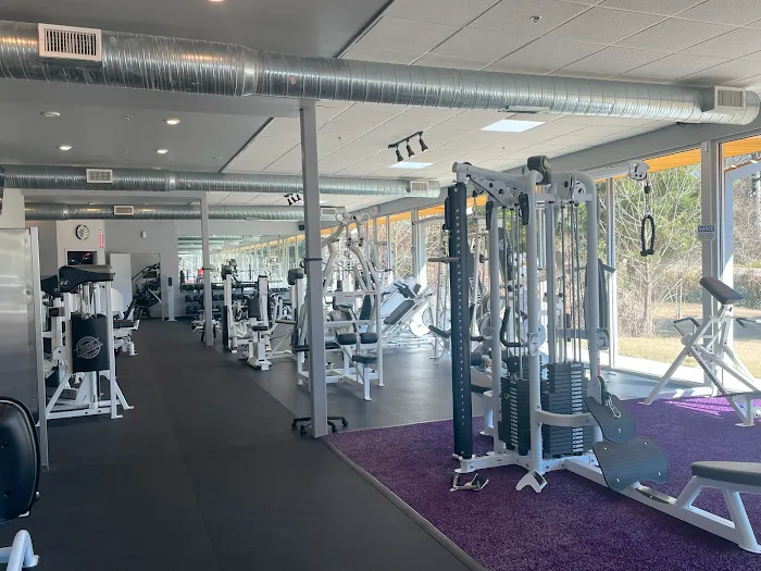 Ultimate Bodies By Carlos Picture 10