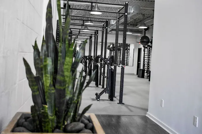 ARMOURBODY Picture 5