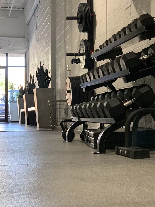 ARMOURBODY Picture 8