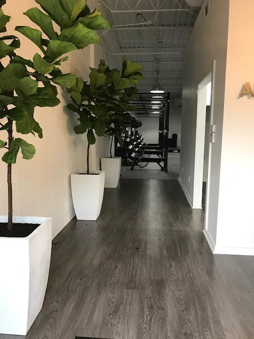 ARMOURBODY Picture 4