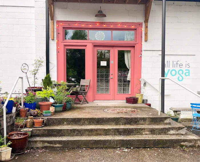 ALL LIFE IS YOGA INC. Picture 10