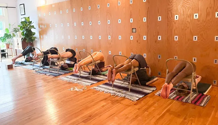 ALL LIFE IS YOGA INC. Picture 2