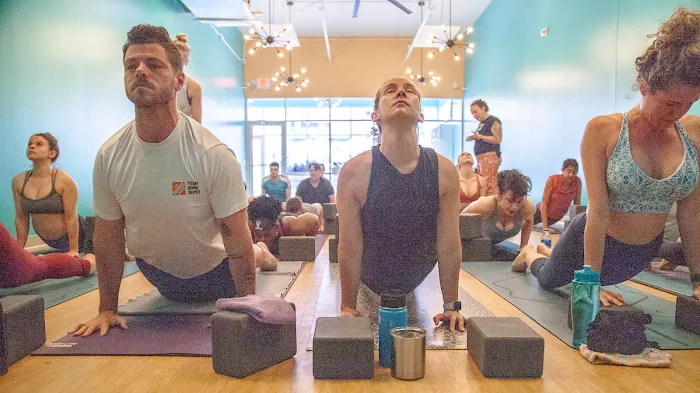 Dancing Dogs Yoga Picture 4