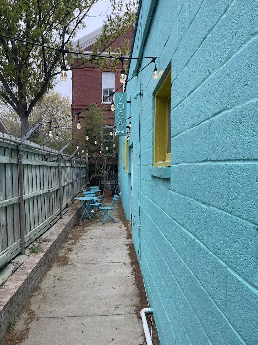 Dancing Dogs Yoga Picture 5