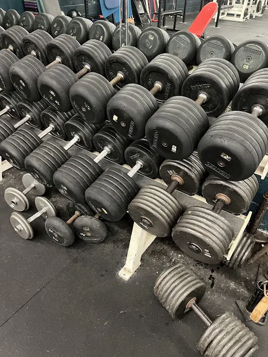 Quest Wellness and Athletics Picture 4