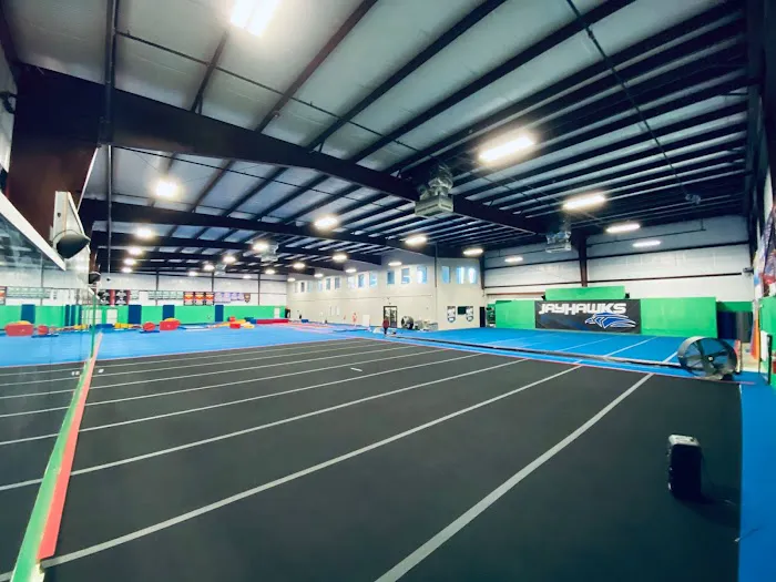 Cheer & Dance Atlanta Jayhawks Picture 7