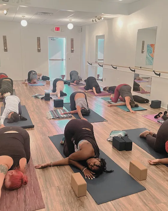 Endeavor Yoga + Pilates Picture 2