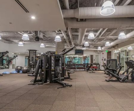 Trust Fitness Performance Training