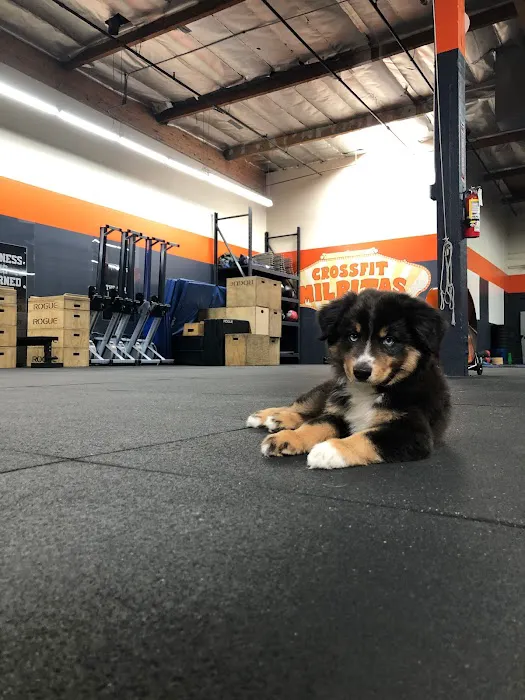 CrossFit Milpitas Picture 10