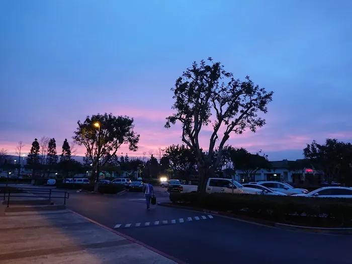 24 Hour Fitness Picture 5