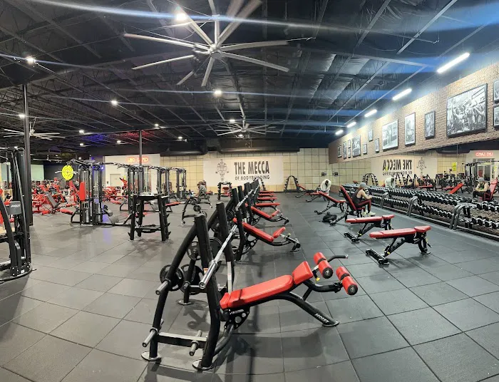 Gold's Gym Milpitas Picture 10