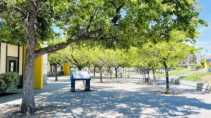 Large Gym - Assembly Building Picture 6