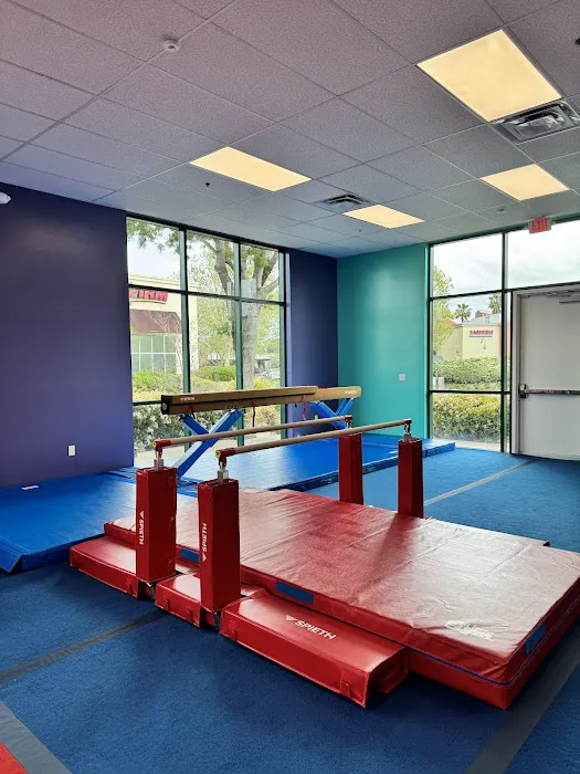 The Little Gym of Milpitas, CA Picture 7
