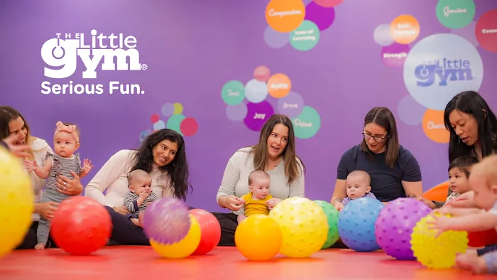 The Little Gym of Milpitas, CA Picture 5