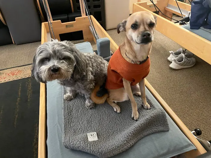 Apex Pilates Studio Picture 7