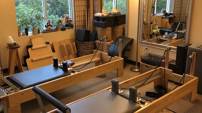 Apex Pilates Studio Picture 1