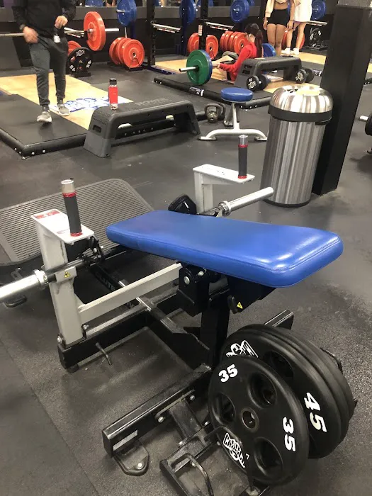 Crunch Fitness - San Jose Picture 6