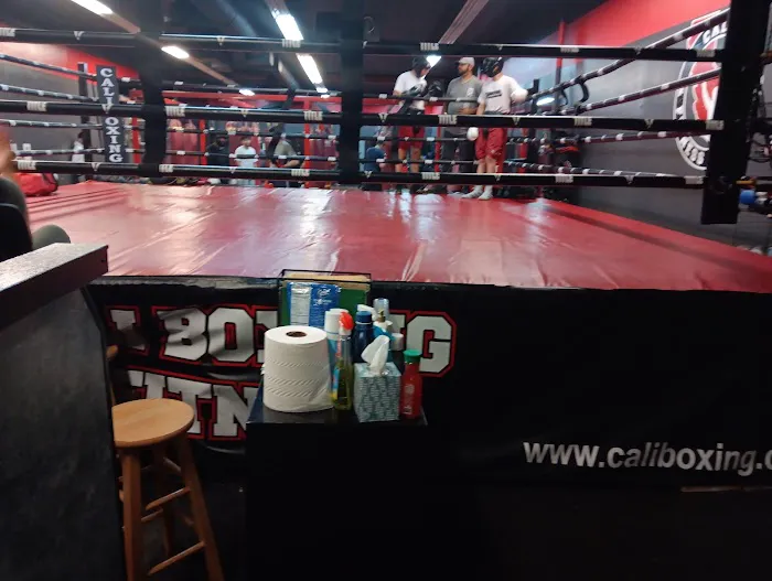 San Jose Boxing & Fitness Picture 1