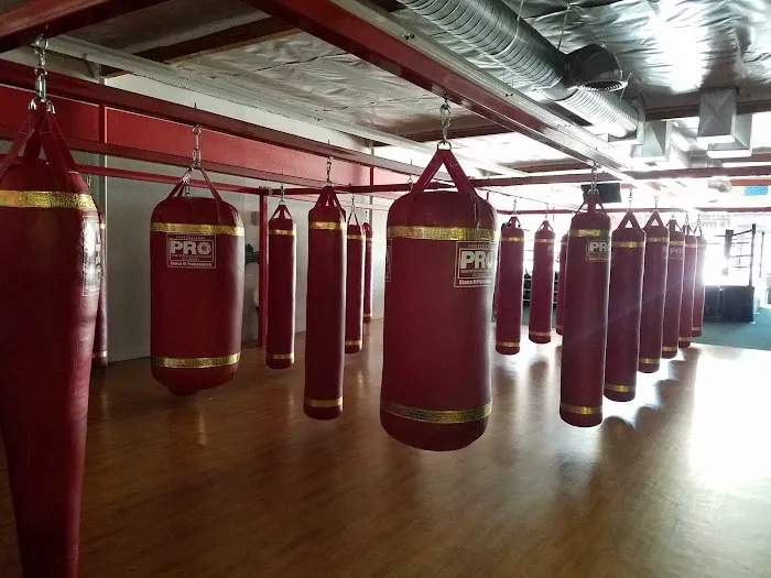 San Jose Boxing & Fitness Picture 6