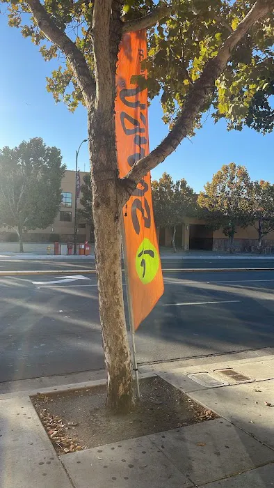 Healthy Nutrition Fitness & Accesories Picture 1