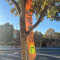 Healthy Nutrition Fitness & Accesories ico