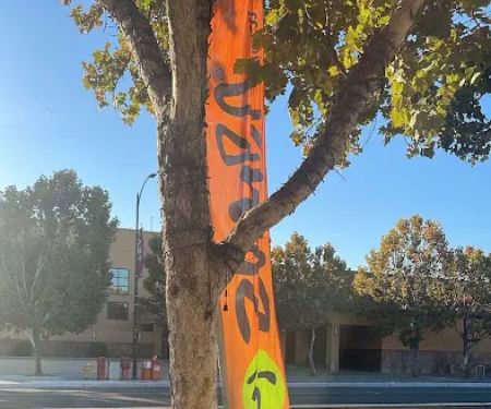 Healthy Nutrition Fitness & Accesories