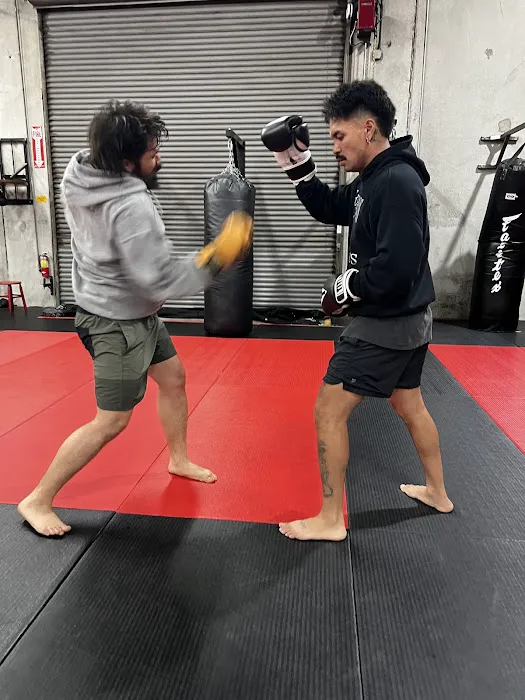 Condition and Competition Kickboxing Picture 1