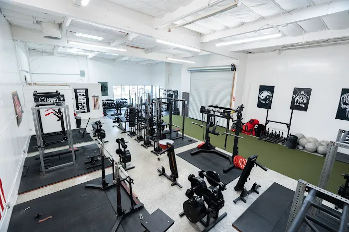 Backyard Barbell Picture 1