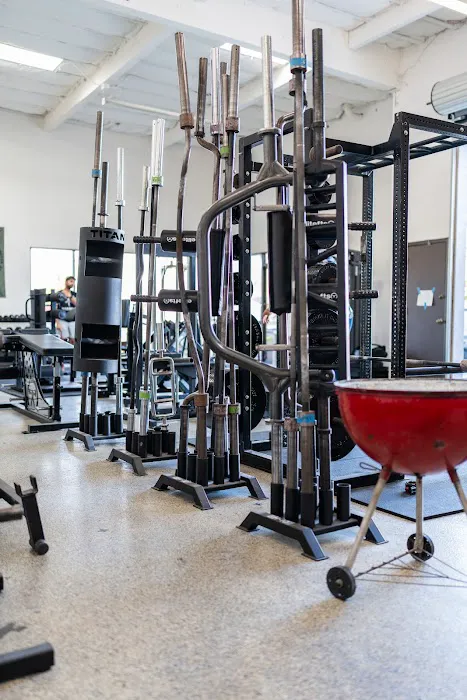 Backyard Barbell Picture 8