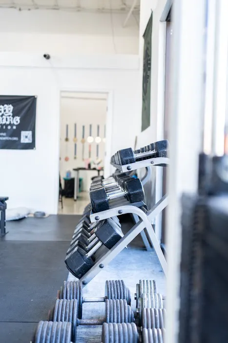 Backyard Barbell Picture 4