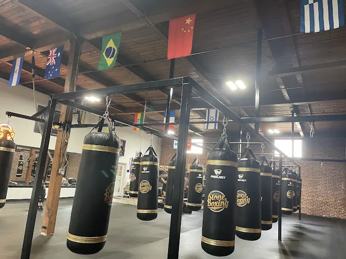 Stone Boxing Picture 5