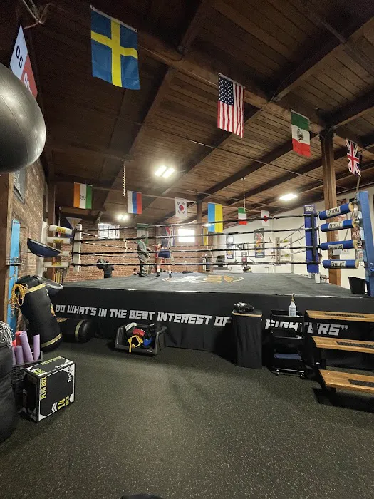 Stone Boxing Picture 9