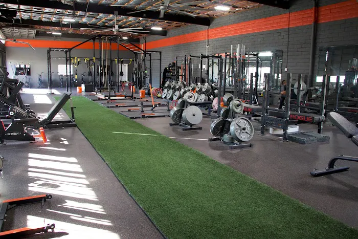 WARCAT Strength Picture 6