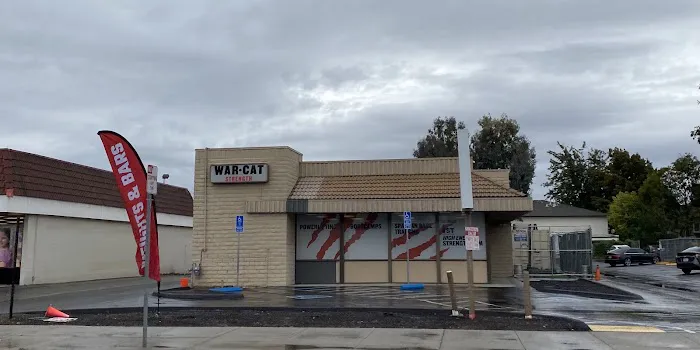 WARCAT Strength Picture 1