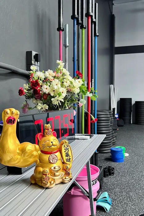 CrossFit Clay Picture 6