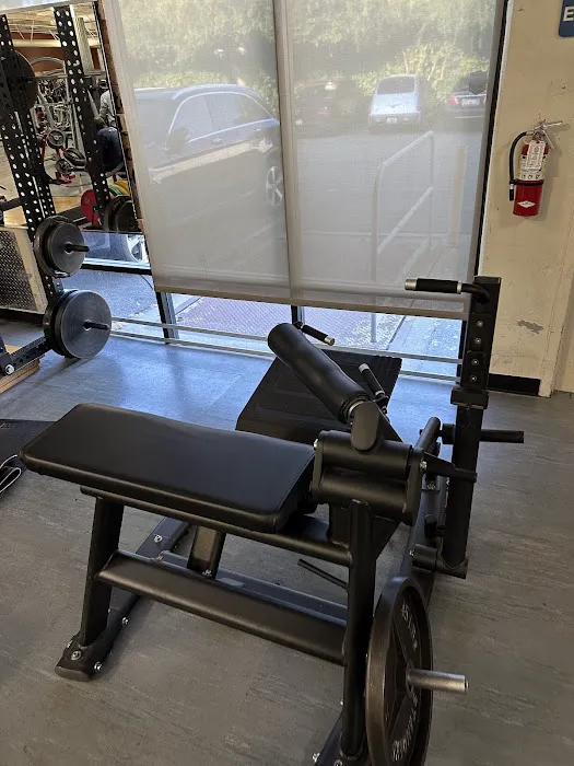 American Barbell Clubs Picture 9