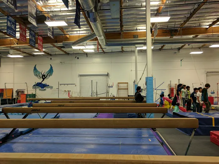 Airborne Gymnastics Picture 4