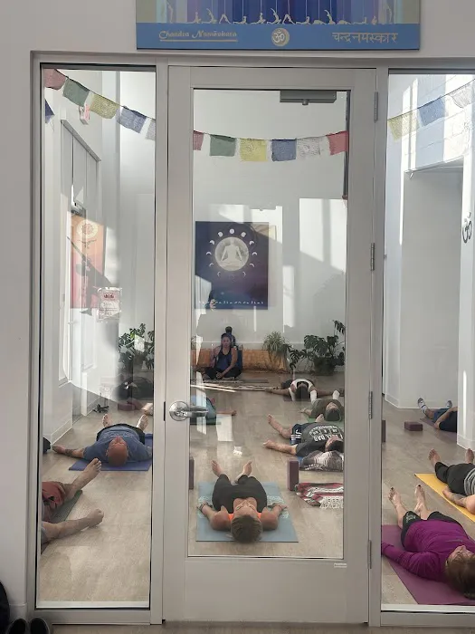 Downtown Yoga Shala Picture 10