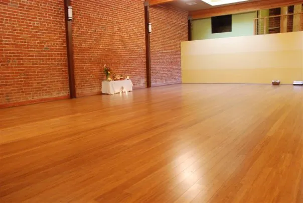 Downtown Yoga Shala Picture 7