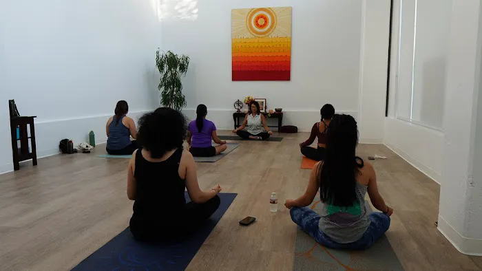 Downtown Yoga Shala Picture 5
